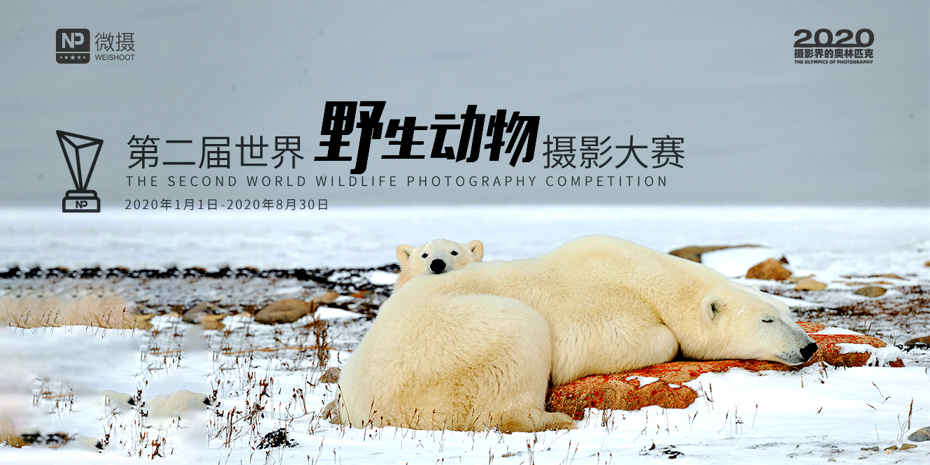 微信图片_20200116135210.jpg